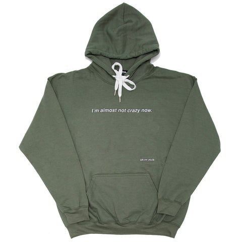 i'm almost not crazy now hoodie