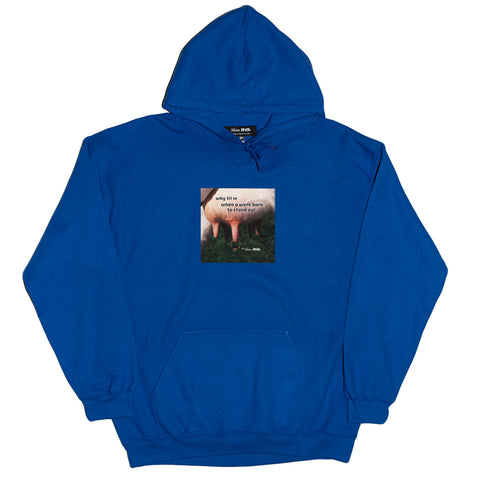 WHY FIT IN WHEN YOU WERE BORN TO STAND OUT HOODIE